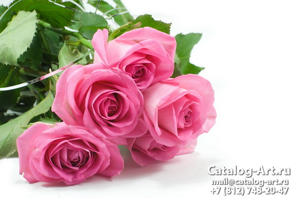 Pink roses 11
